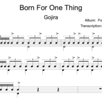 Born For One Thing - Gojira - Mario Duplantier - Partition - Batterie